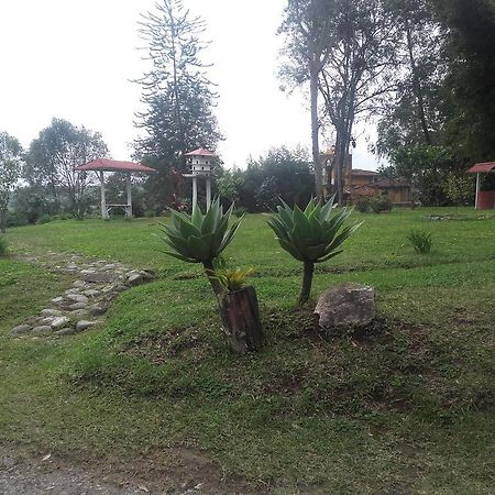 La Gaviota Bnb Bed & Breakfast Filandia Dış mekan fotoğraf