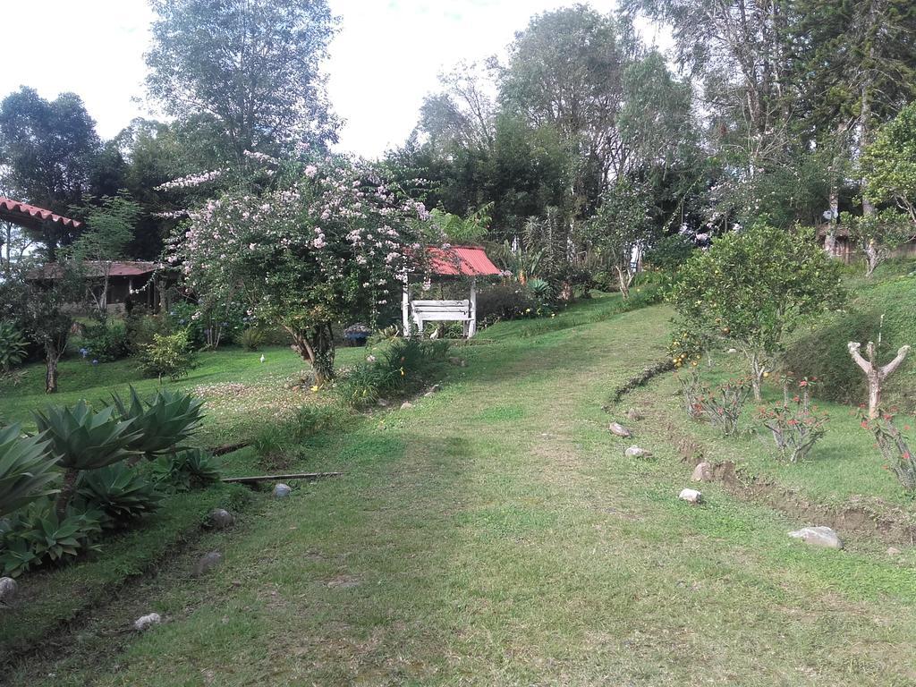 La Gaviota Bnb Bed & Breakfast Filandia Dış mekan fotoğraf